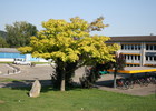 Ecole secondaire