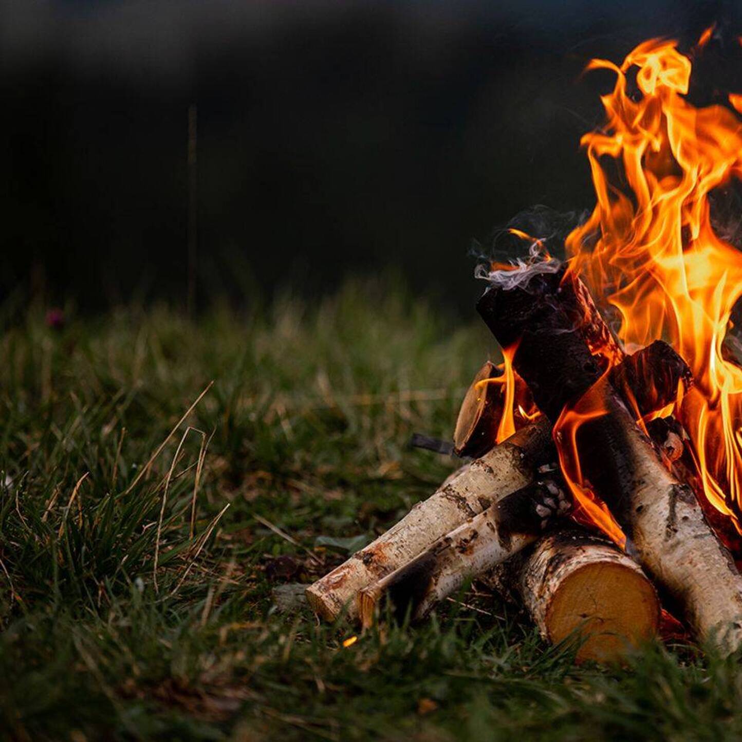 Interdiction partielle de faire des feux en forêt et à proximité