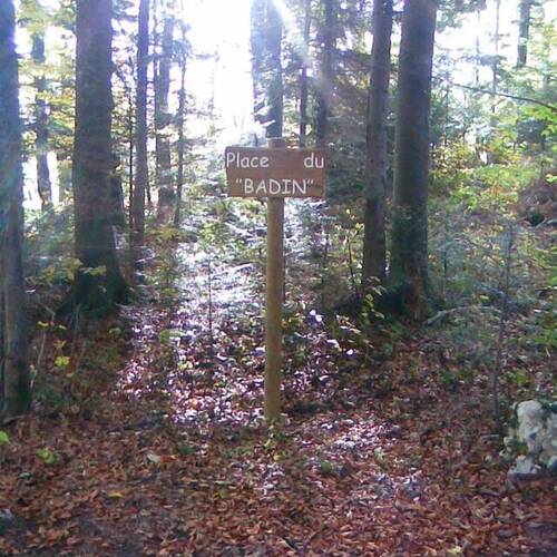 Forêt