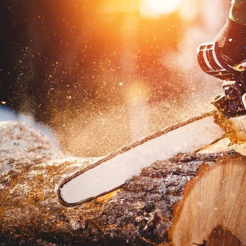La sécurité, un impératif lors des travaux forestiers