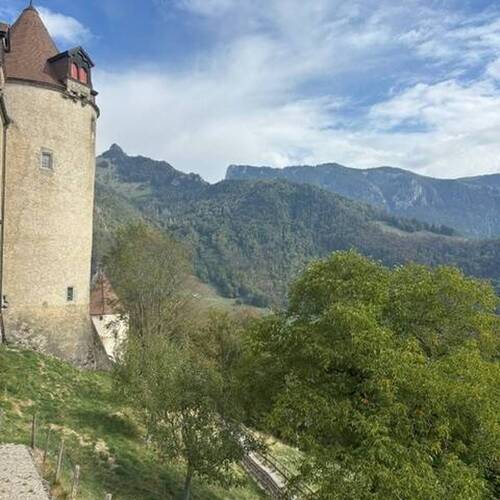 Description de l'image