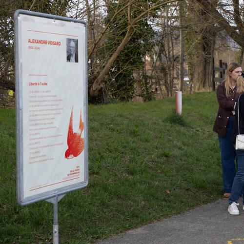 Description de l'image