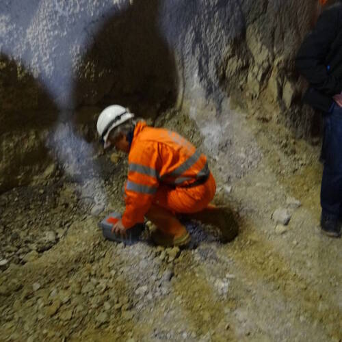 Description de l'image