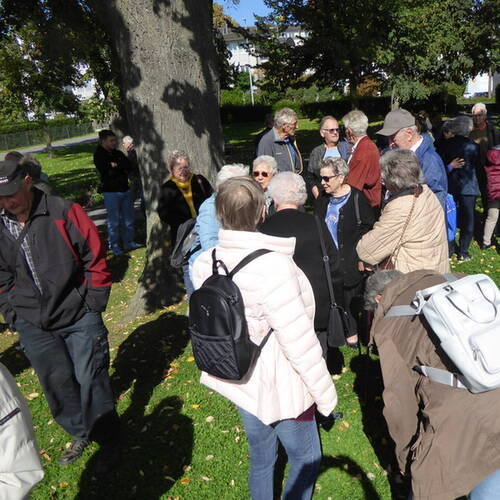 Description de l'image