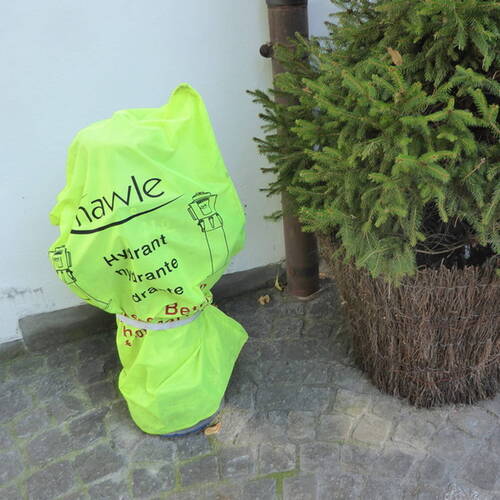 Description de l'image