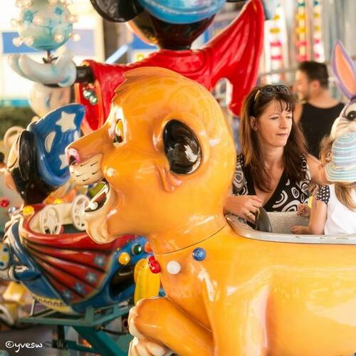 Description de l'image