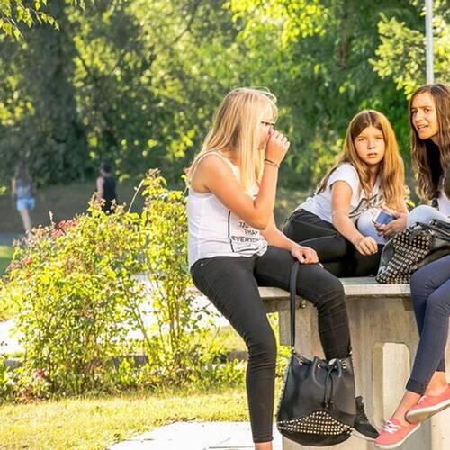 Description de l'image