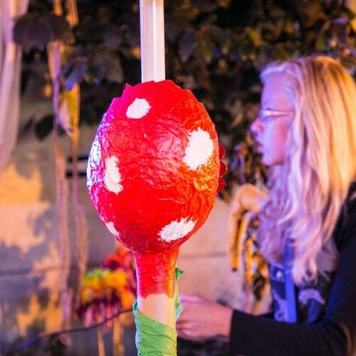 Description de l'image