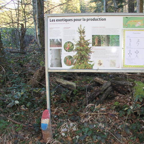 Sentier didactique du Vaferdeau - Panneau 3