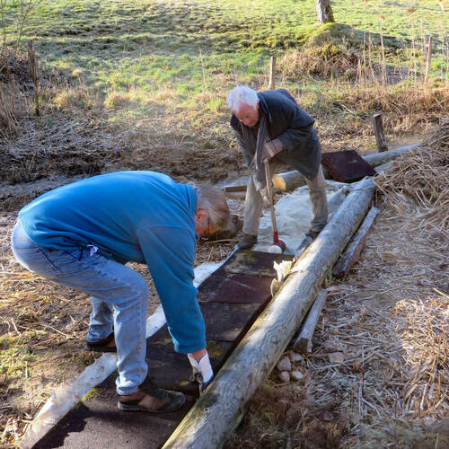 Description de l'image